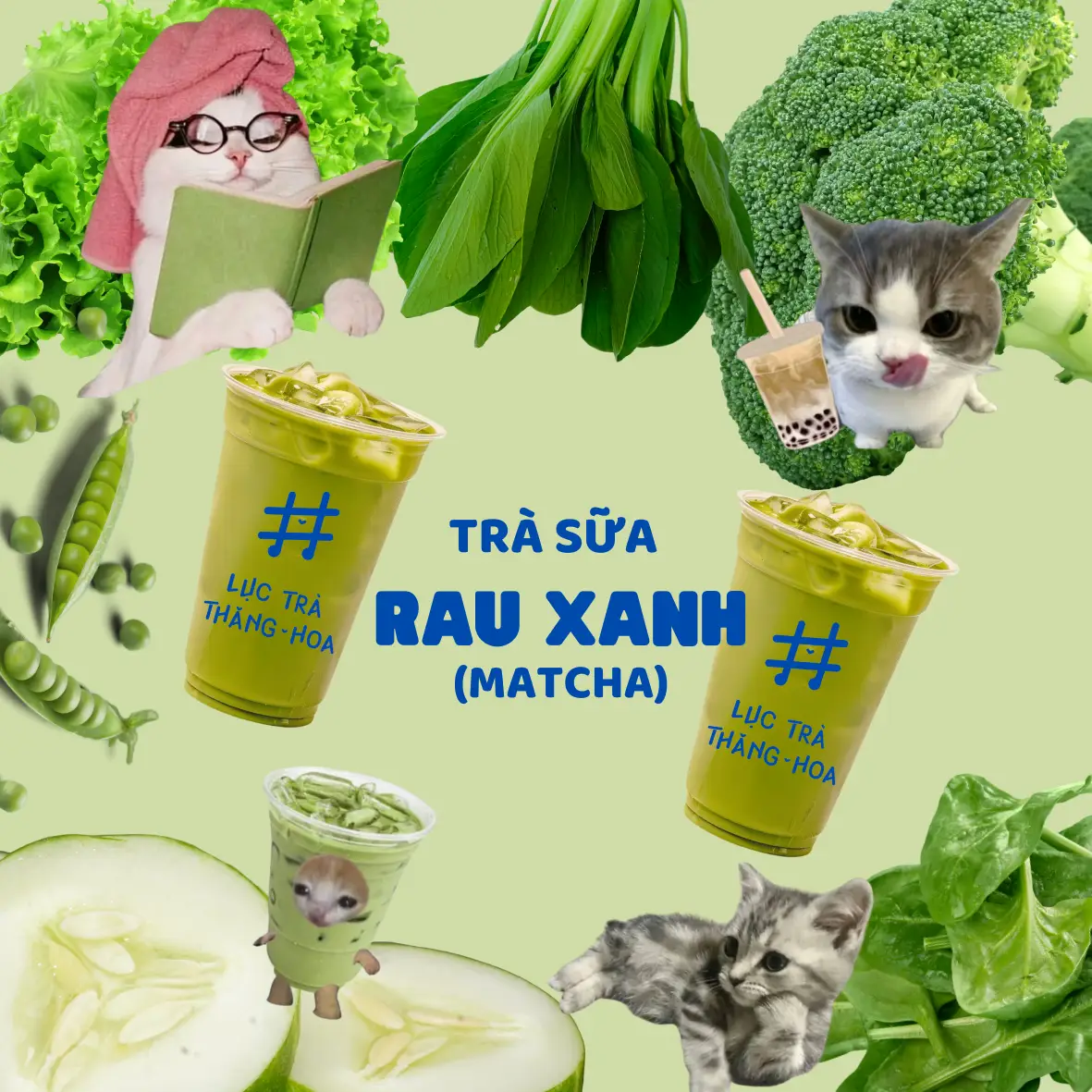 Hình ảnh Trà Sữa Rau Xanh - Matcha
