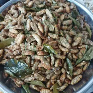 Hình ảnh Cơm Nhộng tằm rang+chả lá lốt 
