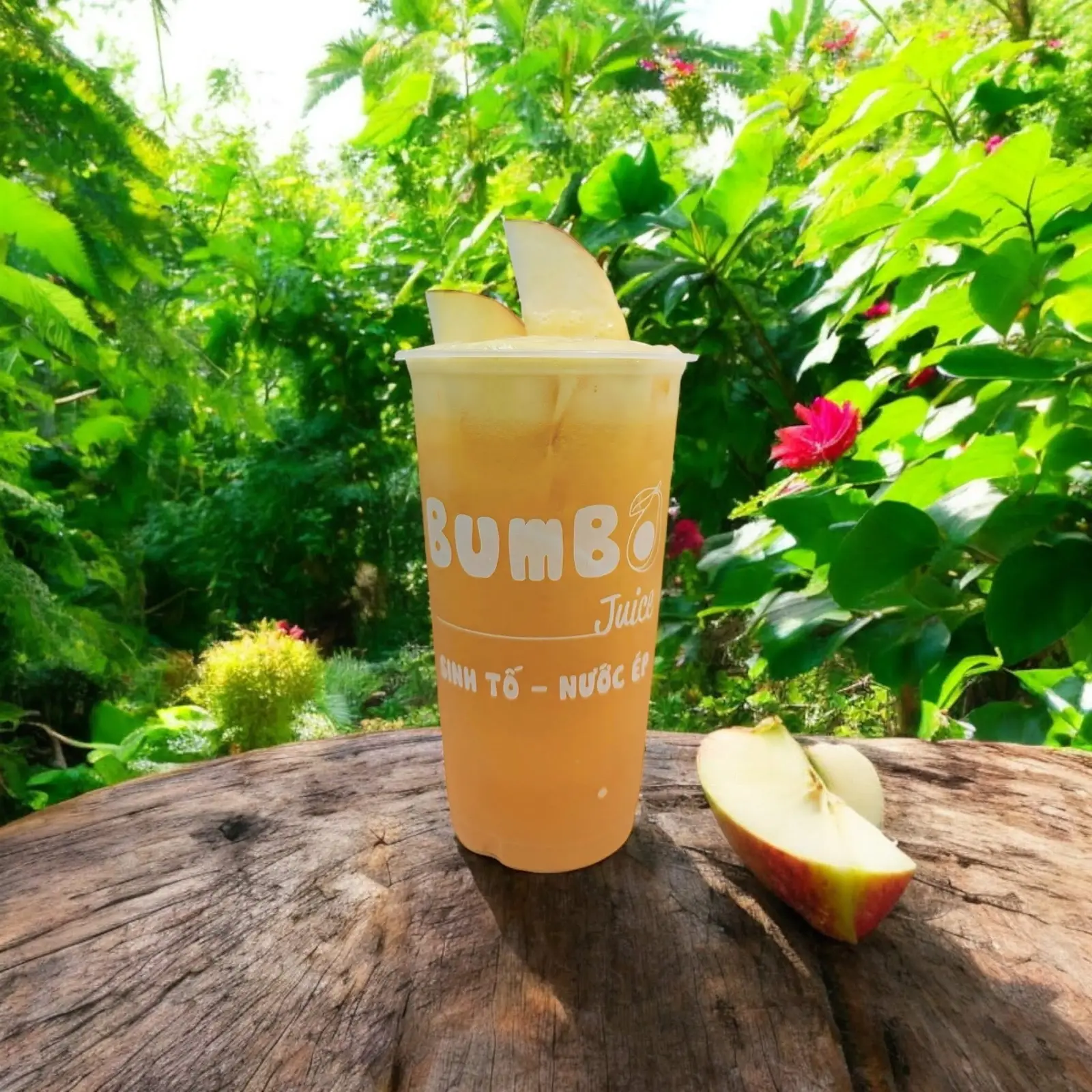 Hình ảnh Nước Ép Táo