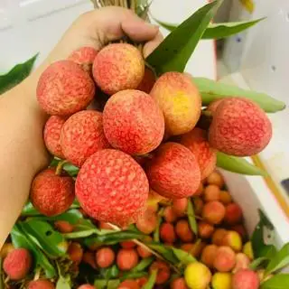 Hình ảnh COMBO 2 KG VẢI TƯƠI NGỌT - [SALE HOT]