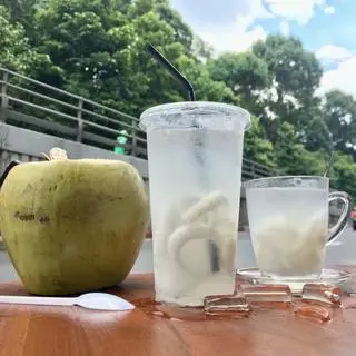 Hình ảnh Dừa ly nhỏ