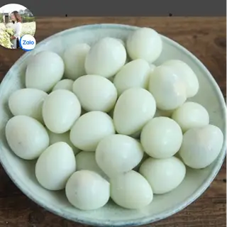 Hình ảnh trứng cút 