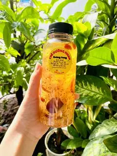 Hình ảnh Chè dưỡng nhan
