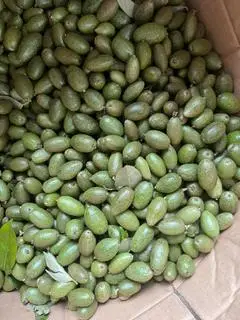 Hình ảnh 1 hộp nhót + túi chẩm chéo khô