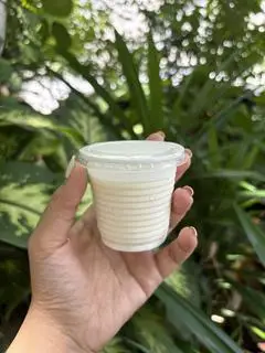 Hình ảnh SỮA CHUA DẺO