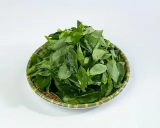 Hình ảnh Rau Ngót