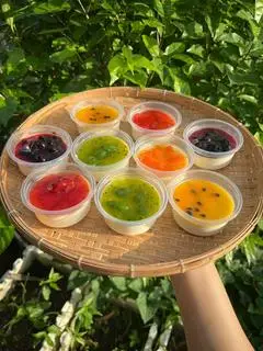 Hình ảnh Panna cotta vị kiwi