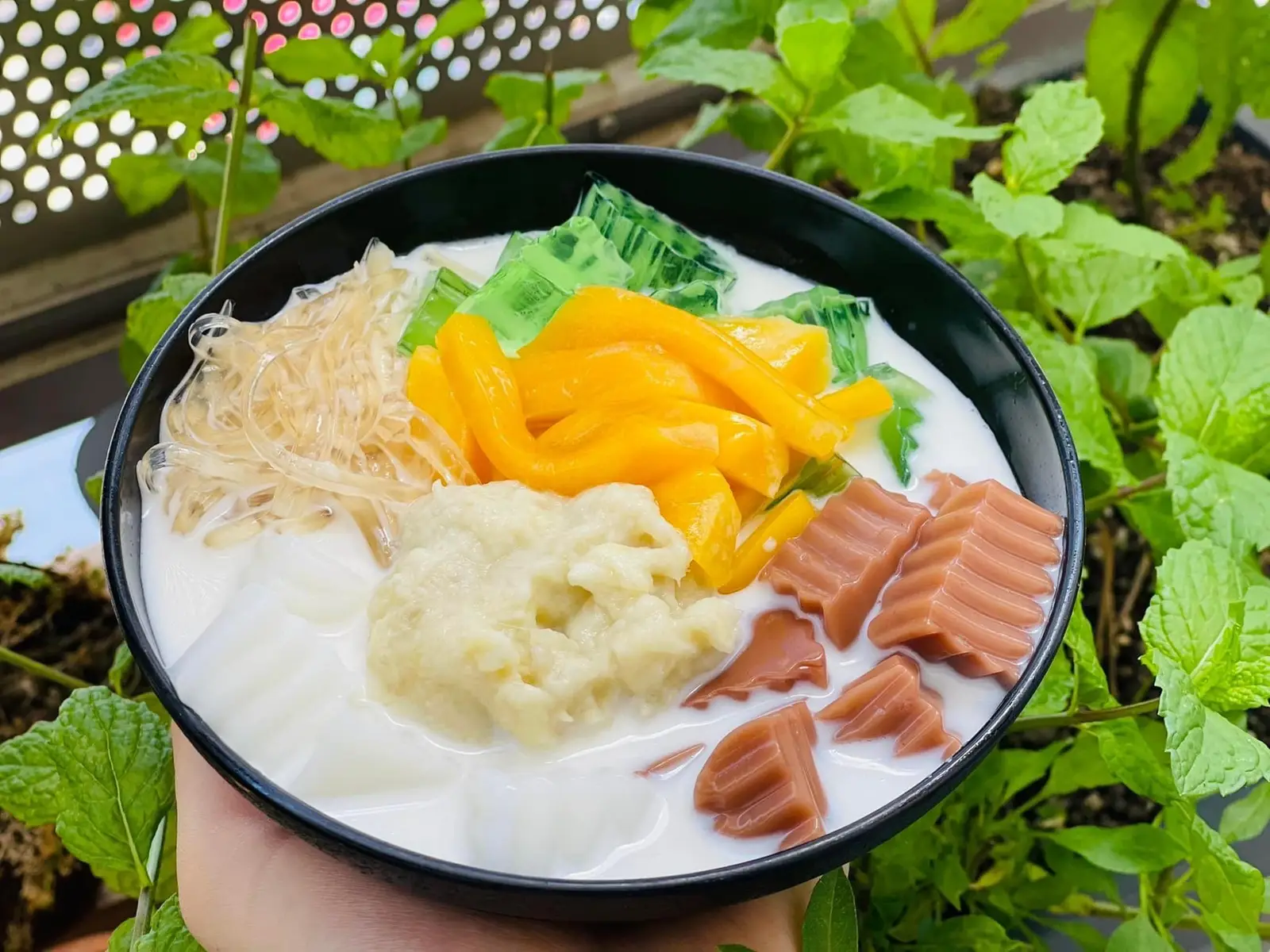 Hình ảnh chè sầu bốn mùa
