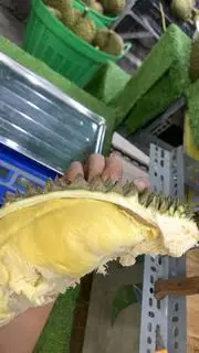 Hình ảnh Sầu Riêng Cơm(óc khỉ)