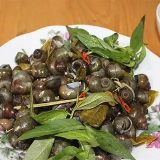 Hình ảnh Ốc Đắng Luột xả 