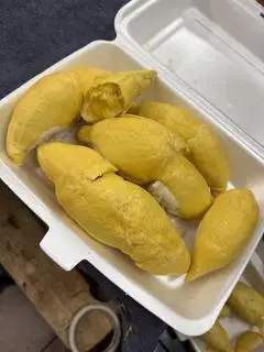 Hình ảnh Sầu riêng ri 6 Tây Ninh 