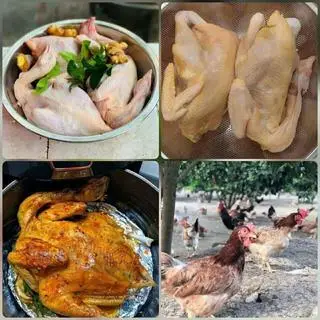 Hình ảnh gà hầm lá ngải thuốc bắc
