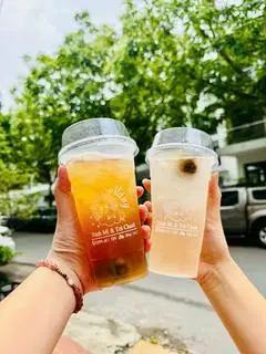 Hình ảnh Nước Sấu