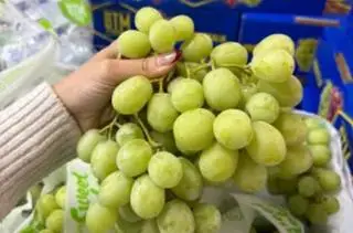 Hình ảnh nho Mỹ bay 1kg 
