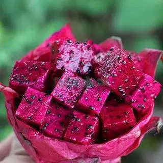 Hình ảnh Thanh long đỏ - 300g