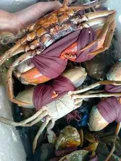 Hình ảnh Cua thịt 3con 1kg cua sống 