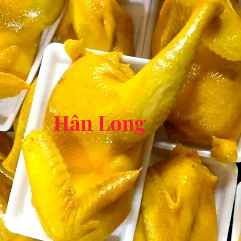 Hình ảnh 1 khay nửa con gà ủ muối+ dưa leo, nước chấm, rau răm