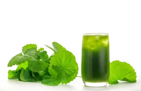Hình ảnh Rau má (L: 800ml) Mua 49K tặng Nước Suối – Đơn 99K nhận quà bất ngờ!
