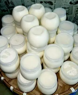 Hình ảnh 10 hủ sữa chua dẻo