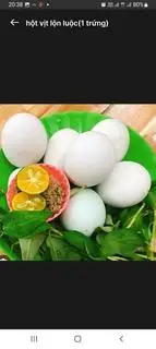 Hình ảnh hột vịt lộn (1 trứng)