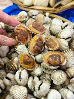Hình ảnh sò huyết hấp 