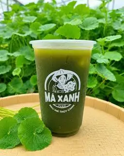 Hình ảnh Rau má nguyên chất
