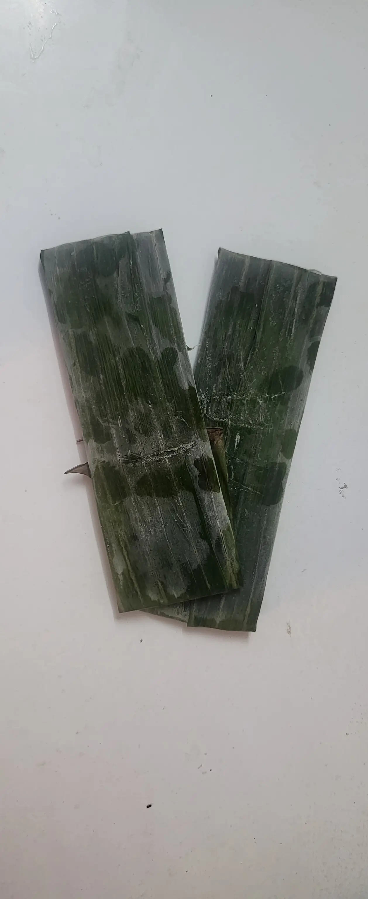 Hình ảnh Bánh Nậm Chưa Hấp ( Sống )