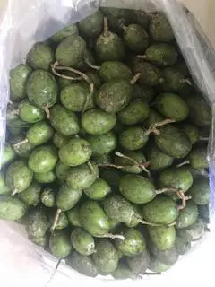 Hình ảnh 0,5kg Cóc Non( nguyên trái, chưa gọt ạ) 
