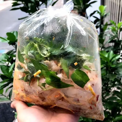 Hình ảnh Bánh tráng trộn
