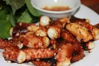 Hình ảnh Bạch Tuộc 