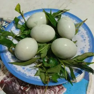 Hình ảnh Trứng vit dữa 