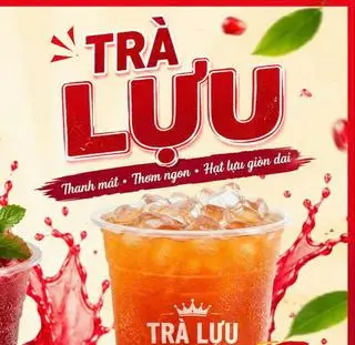 Hình ảnh TRÀ LỰU