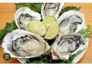Hình ảnh Hàu Sống Tươi - 5con