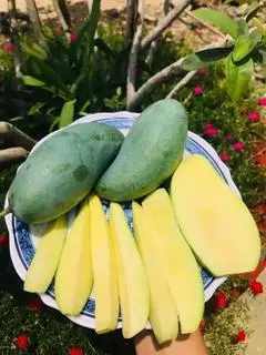 Hình ảnh Xoài Thái 350gr