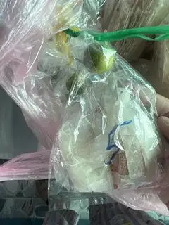 Hình ảnh Bánh tráng muối ghiền