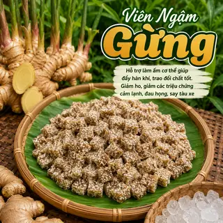 Hình ảnh VIÊN NGẬM GỪNG ĐƯỜNG PHÈN 100Gr