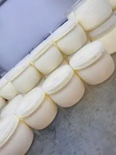Hình ảnh Sữa chua truyền thống