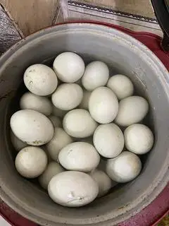 Hình ảnh Trứng vịt lộn luộc