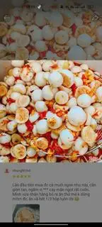 Hình ảnh Cà muối chua ngọt 1 kg