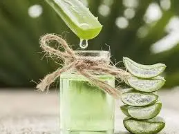 Hình ảnh dừa nha đam