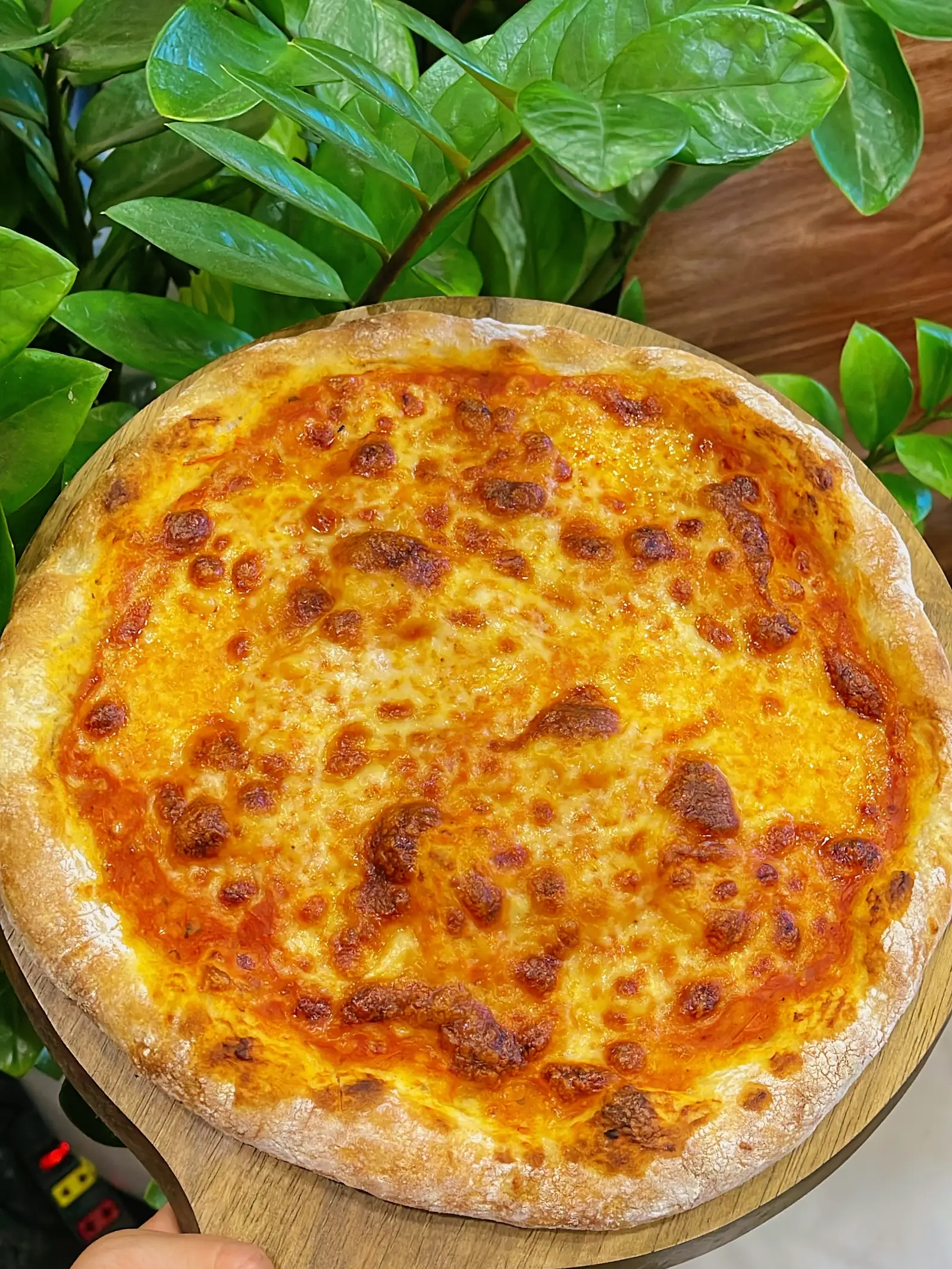 Hình ảnh Pizza margherita cổ điển - Pizza margherita