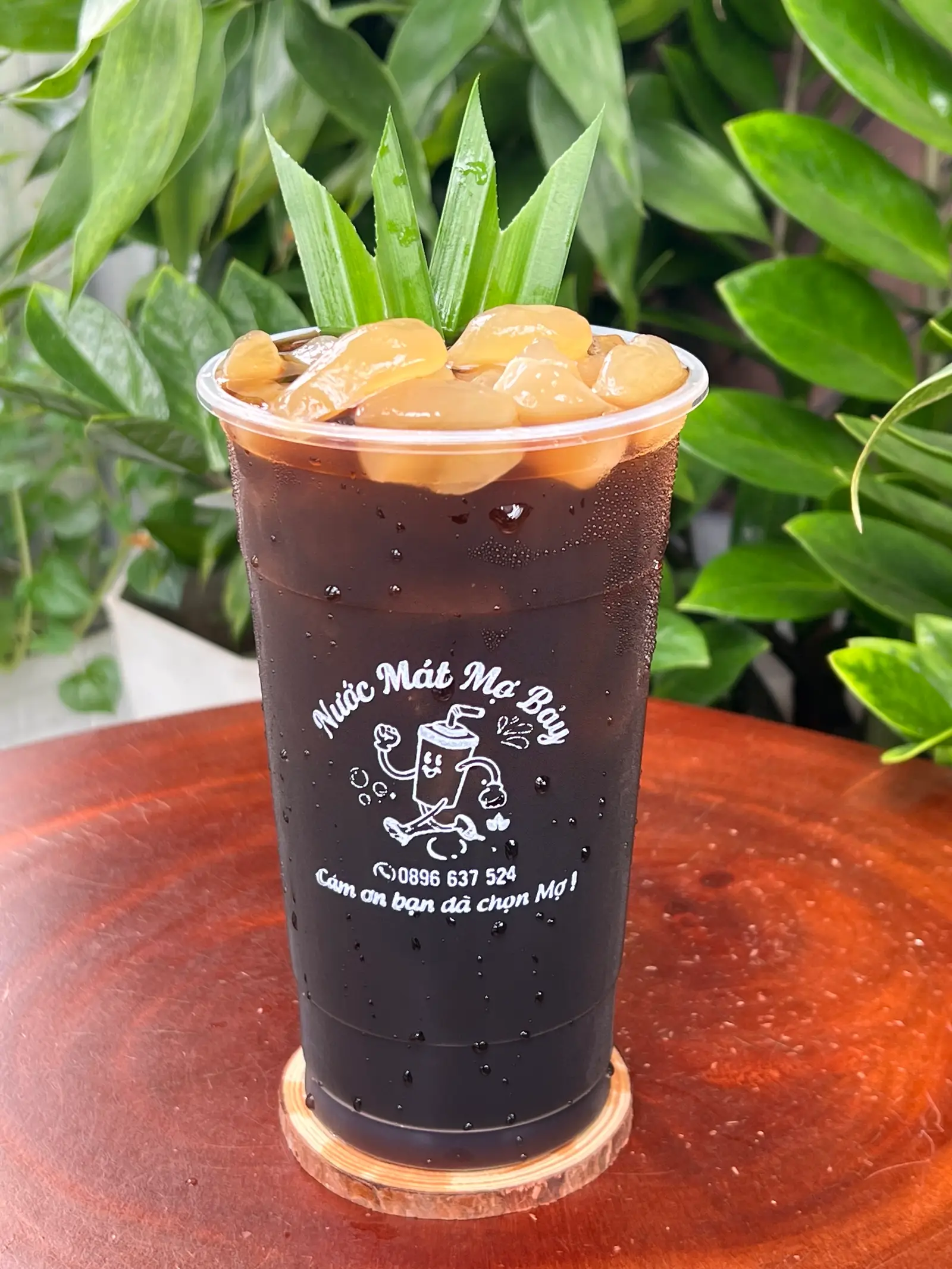 Hình ảnh Sâm Hạt Ðác 