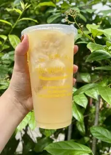 Hình ảnh Trà mãng cầu