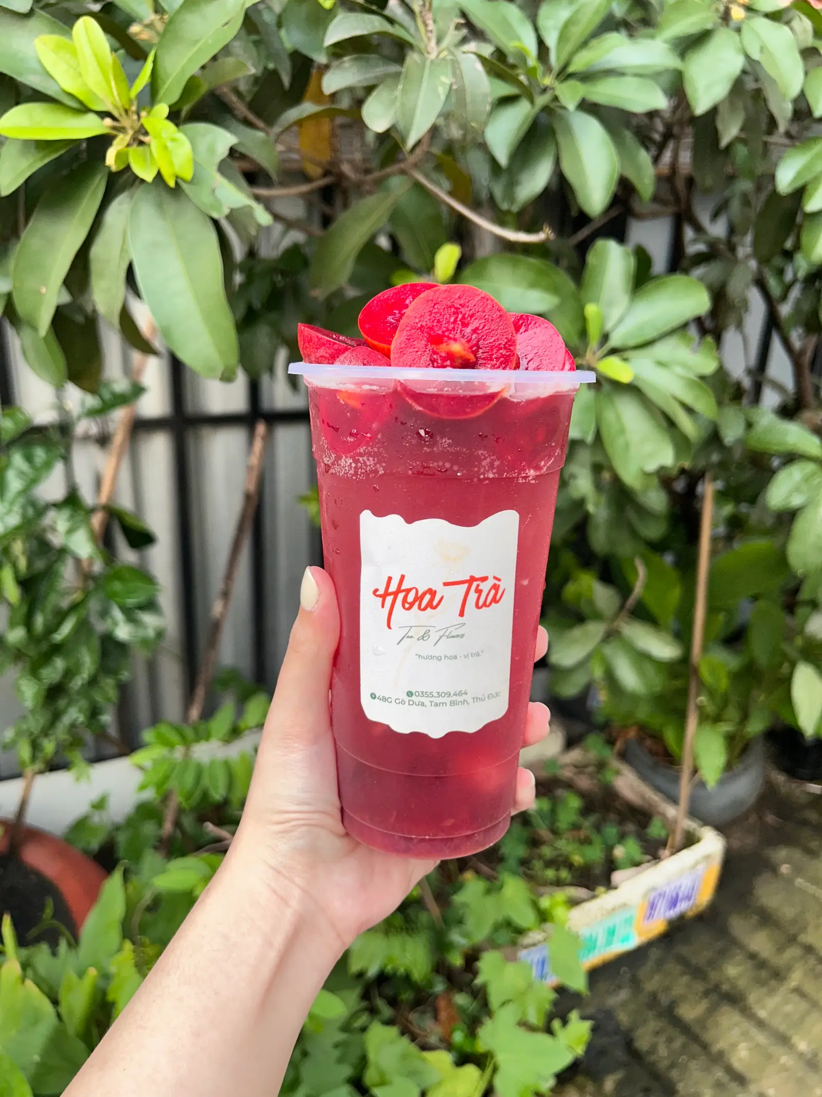 Hình ảnh Trà mận