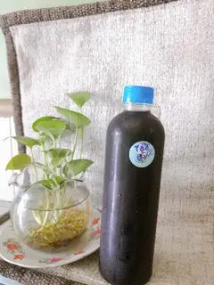 Hình ảnh Nước Mát Tảo Biển 500ml - Chai Lớn