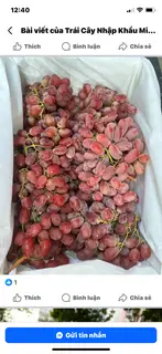 Hình ảnh NHO Đỏ Ko Hạt 500gr