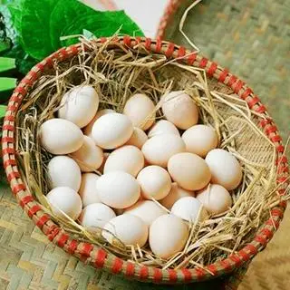 Hình ảnh combo 10 trứng gà ta (trứng nhỏ nhỏ) 