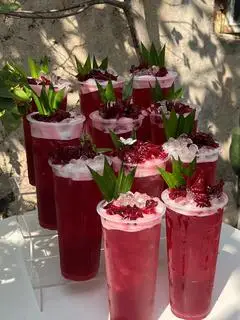 Hình ảnh Trà Hibiscus ( Atiso Đỏ ) 
