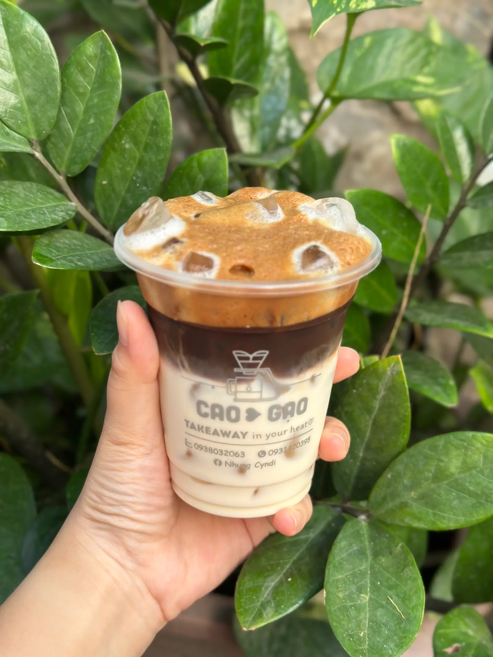Hình ảnh Cafe sữa tươi