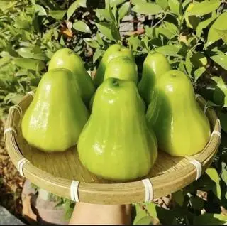 Hình ảnh Mận xanh Tam Hoa 300gram